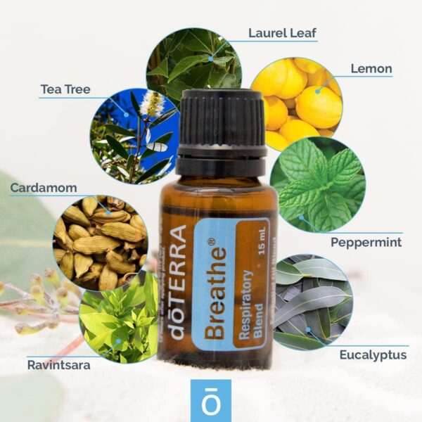 doTerra Breathe Essential Oil Blend - Image 2