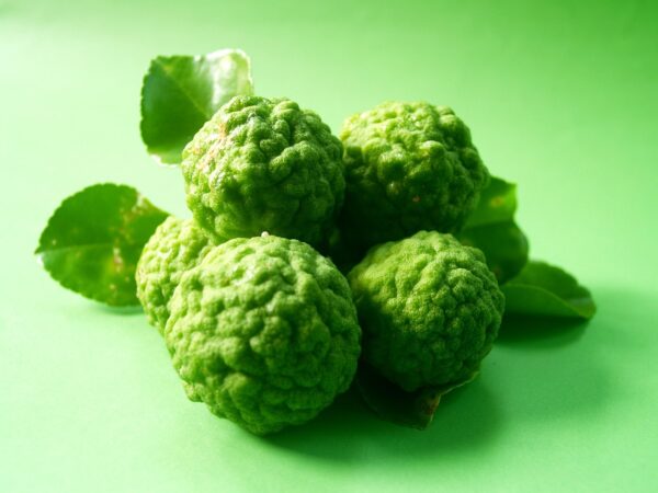bergamot, fruit, leaf, isolated, thailand, rough, lemon, natural, tropical, green, herbal, organic, lime, citrus, nature, asia, vegetable, thai, hair, cuisine, kaffir, herb, ingredient, ancient, fresh, cooking, food, asian, raw, green food, green cooking, green vegetables, green fruits, green hair, green lemon