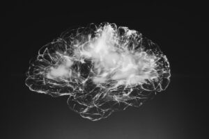 a black and white photo of a brain